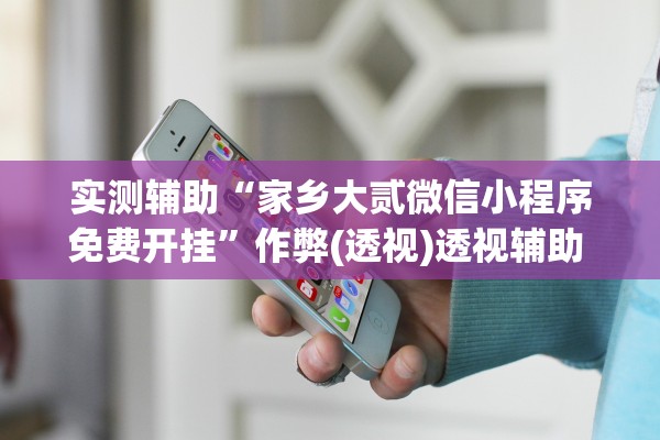 实测辅助“家乡大贰微信小程序免费开挂”作弊(透视)透视辅助 