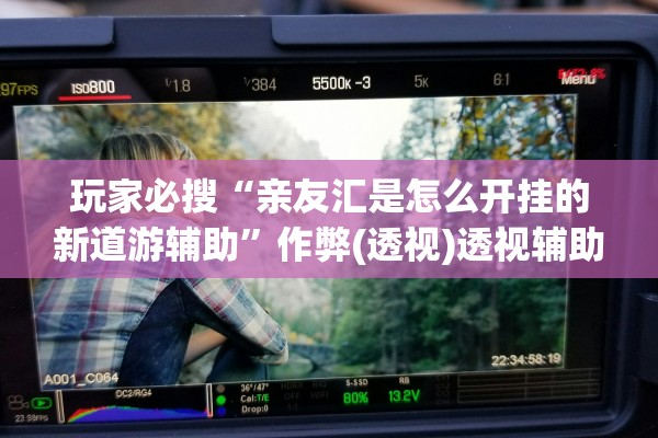 玩家必搜“亲友汇是怎么开挂的新道游辅助”作弊(透视)透视辅助 