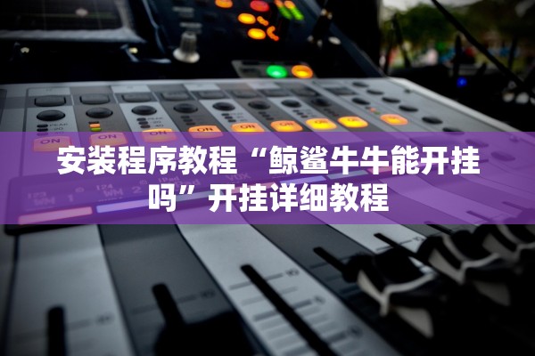 安装程序教程“鲸鲨牛牛能开挂吗”开挂详细教程