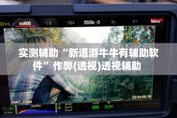 实测辅助“新道游牛牛有辅助软件	”作弊(透视)透视辅助 