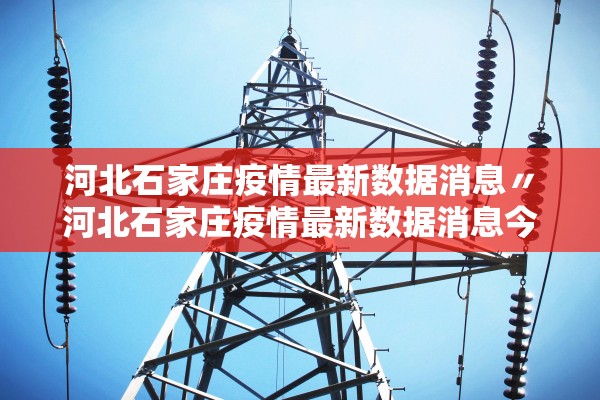 河北石家庄疫情最新数据消息〃河北石家庄疫情最新数据消息今天新增