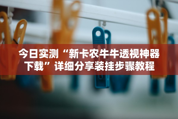 今日实测“新卡农牛牛透视神器下载”详细分享装挂步骤教程