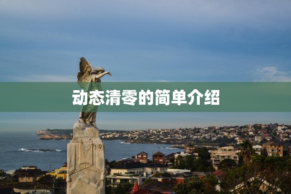 动态清零的简单介绍