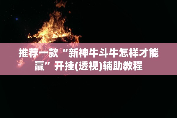 推荐一款“新神牛斗牛怎样才能赢”开挂(透视)辅助教程