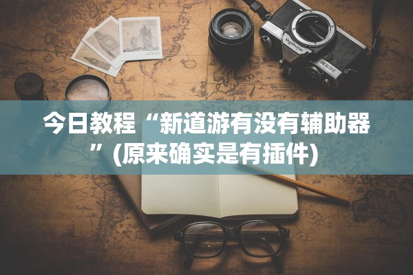 今日教程“新道游有没有辅助器	”(原来确实是有插件) 