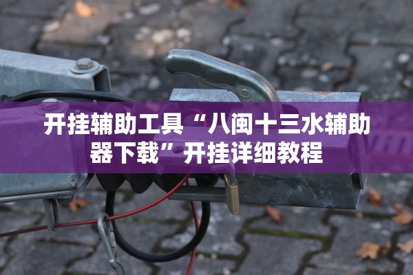 开挂辅助工具“八闽十三水辅助器下载	”开挂详细教程