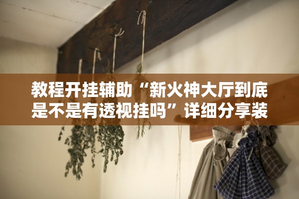 教程开挂辅助“新火神大厅到底是不是有透视挂吗”详细分享装挂步骤教程