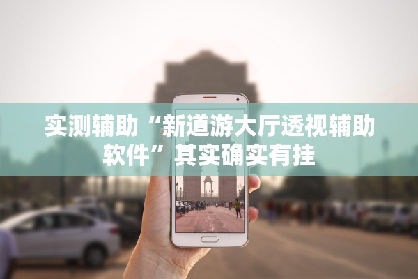 实测辅助“新道游大厅透视辅助软件”其实确实有挂