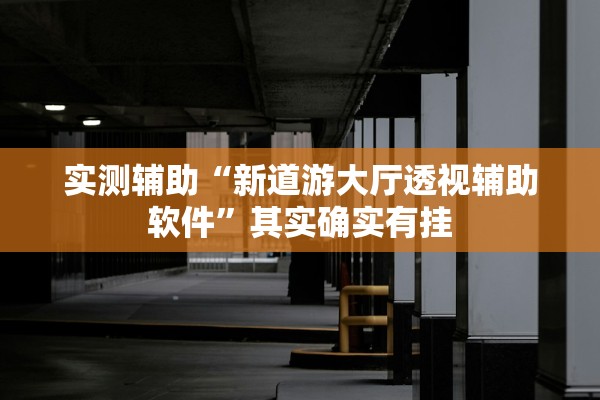 实测辅助“新道游大厅透视辅助软件”其实确实有挂