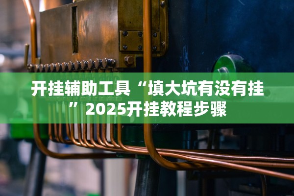 开挂辅助工具“填大坑有没有挂”2025开挂教程步骤