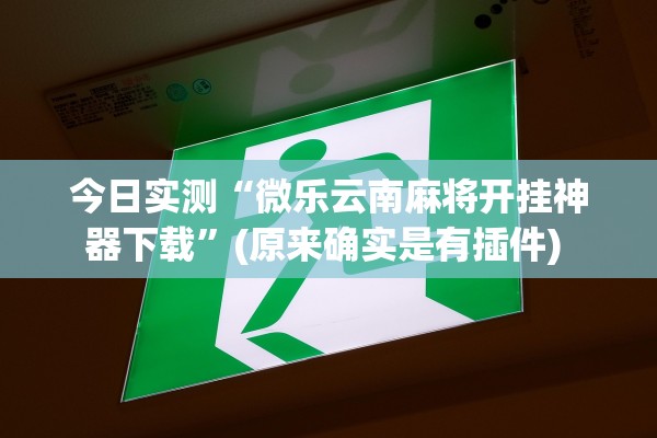 今日实测“微乐云南麻将开挂神器下载”(原来确实是有插件) 