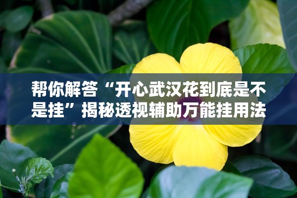帮你解答“开心武汉花到底是不是挂”揭秘透视辅助万能挂用法
