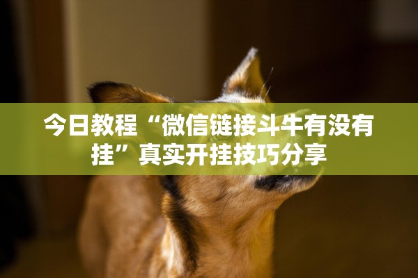 今日教程“微信链接斗牛有没有挂	”真实开挂技巧分享