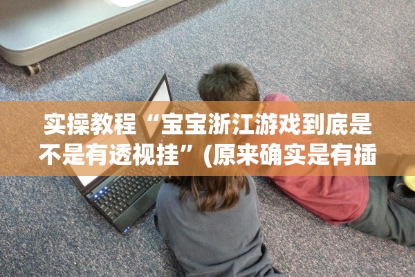 实操教程“宝宝浙江游戏到底是不是有透视挂”(原来确实是有插件) 