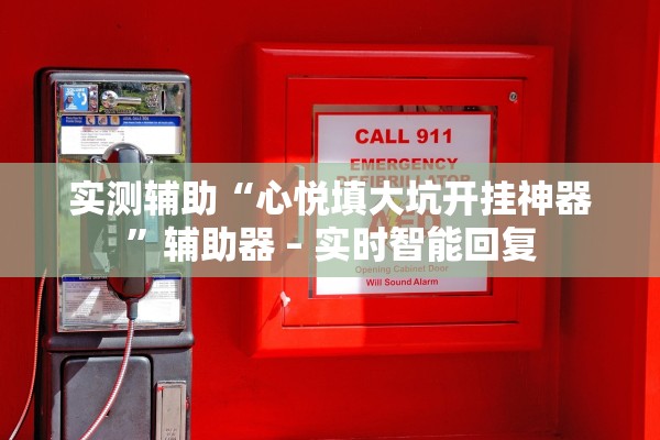 实测辅助“心悦填大坑开挂神器”辅助器 – 实时智能回复