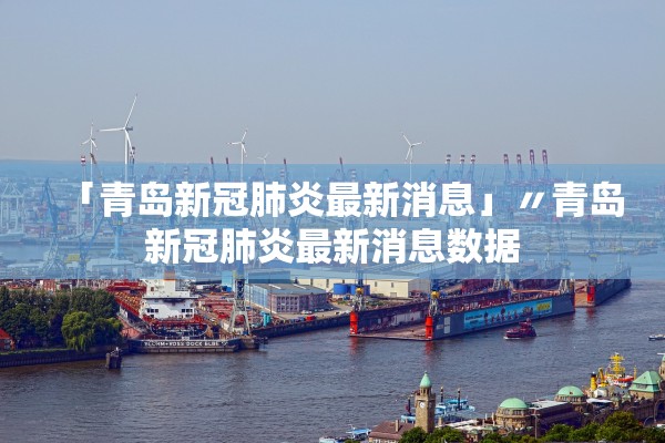 「青岛新冠肺炎最新消息」〃青岛新冠肺炎最新消息数据