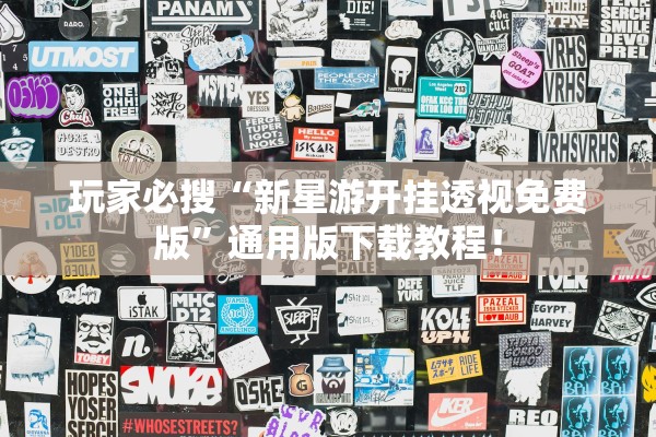 玩家必搜“新星游开挂透视免费版”通用版下载教程！