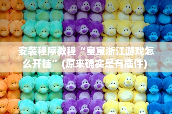 安装程序教程“宝宝浙江游戏怎么开挂”(原来确实是有插件) 