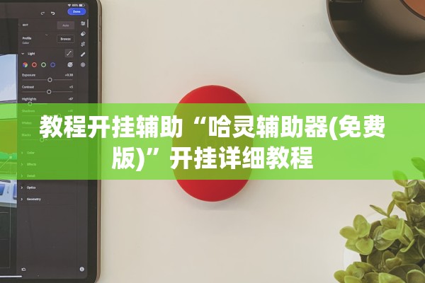 教程开挂辅助“哈灵辅助器(免费版)”开挂详细教程