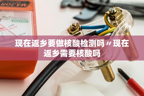 现在返乡要做核酸检测吗〃现在返乡需要核酸吗