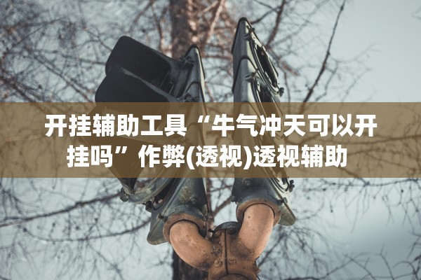 开挂辅助工具“牛气冲天可以开挂吗”作弊(透视)透视辅助 