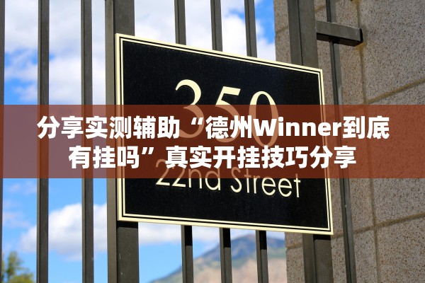 分享实测辅助“德州Winner到底有挂吗”真实开挂技巧分享