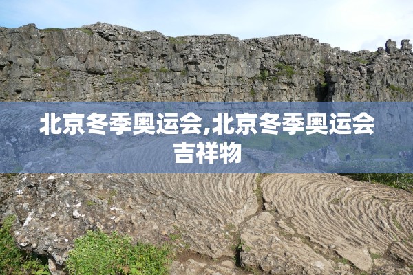 北京冬季奥运会,北京冬季奥运会吉祥物