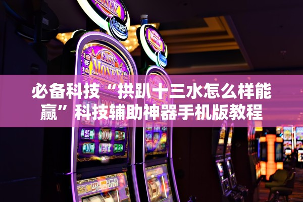 必备科技“拱趴十三水怎么样能赢”科技辅助神器手机版教程