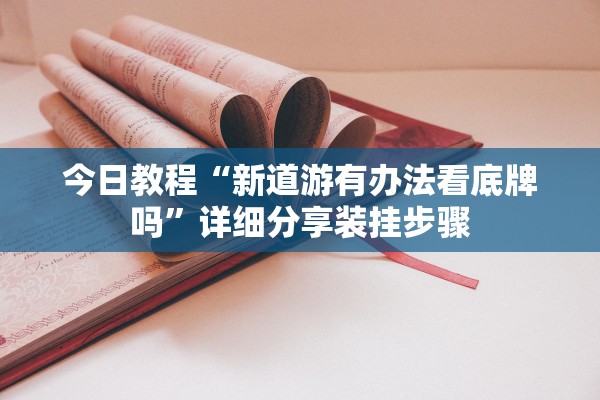 今日教程“新道游有办法看底牌吗”详细分享装挂步骤