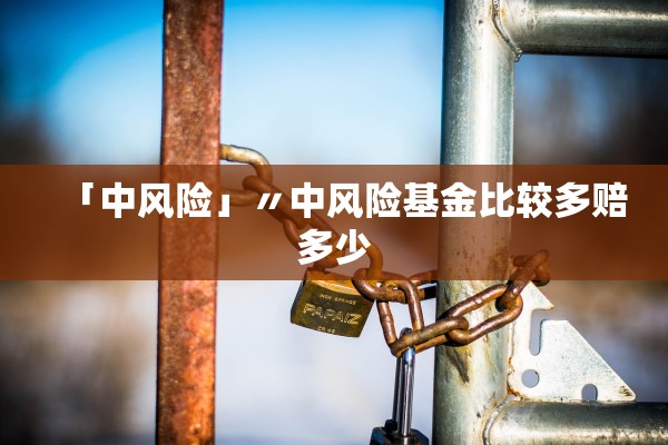 「中风险」〃中风险基金比较多赔多少