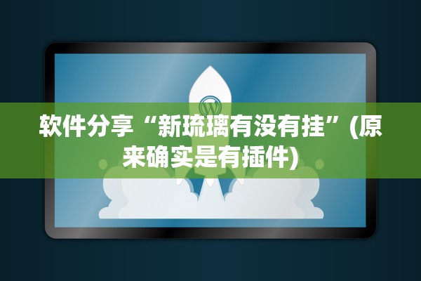 软件分享“新琉璃有没有挂	”(原来确实是有插件)