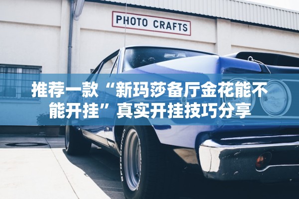 推荐一款“新玛莎备厅金花能不能开挂”真实开挂技巧分享