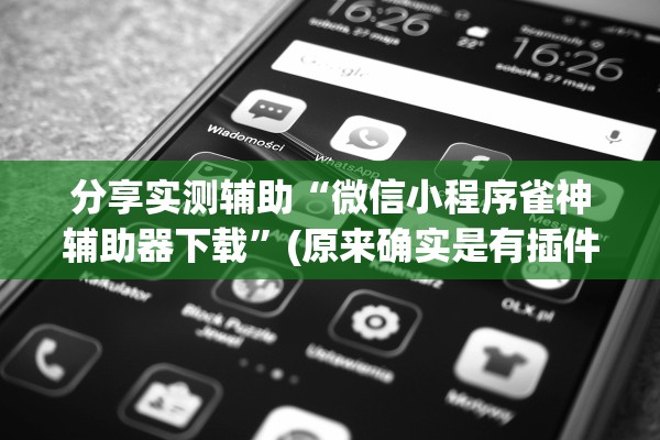 分享实测辅助“微信小程序雀神辅助器下载”(原来确实是有插件)