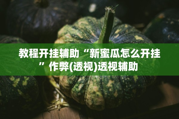 教程开挂辅助“新蜜瓜怎么开挂”作弊(透视)透视辅助 