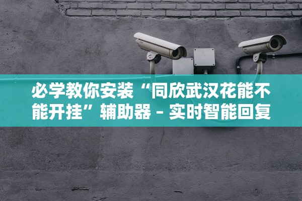 必学教你安装“同欣武汉花能不能开挂”辅助器 – 实时智能回复