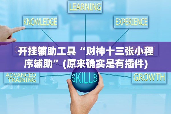 开挂辅助工具“财神十三张小程序辅助”(原来确实是有插件)