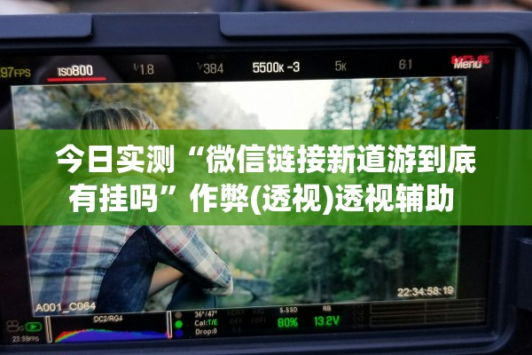 今日实测“微信链接新道游到底有挂吗”作弊(透视)透视辅助 