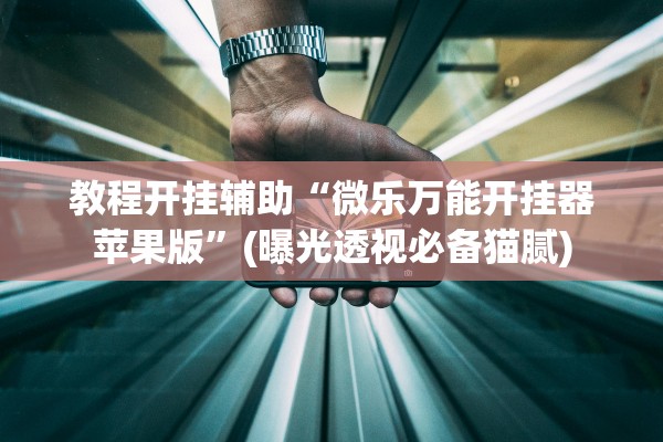 教程开挂辅助“微乐万能开挂器苹果版”(曝光透视必备猫腻)