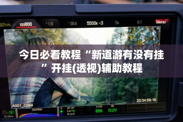 今日必看教程“新道游有没有挂”开挂(透视)辅助教程