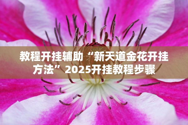 教程开挂辅助“新天道金花开挂方法”2025开挂教程步骤