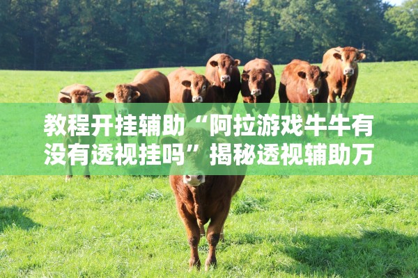 教程开挂辅助“阿拉游戏牛牛有没有透视挂吗”揭秘透视辅助万能挂用法