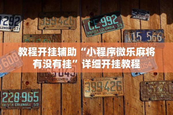 教程开挂辅助“小程序微乐麻将有没有挂	”详细开挂教程