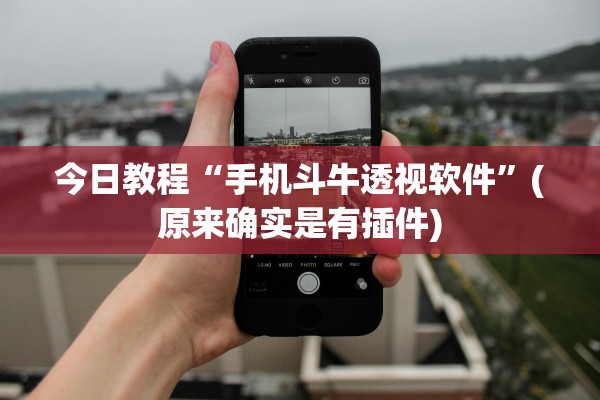 今日教程“手机斗牛透视软件”(原来确实是有插件)