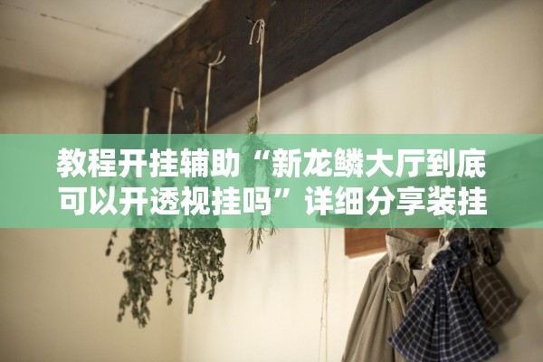 教程开挂辅助“新龙鳞大厅到底可以开透视挂吗	”详细分享装挂步骤