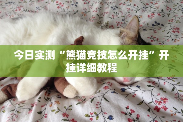 今日实测“熊猫竞技怎么开挂”开挂详细教程