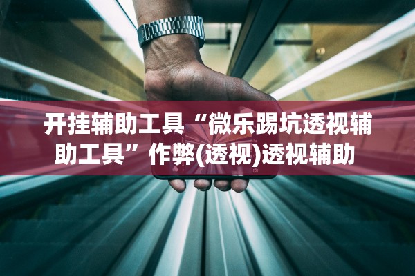 开挂辅助工具“微乐踢坑透视辅助工具	”作弊(透视)透视辅助 