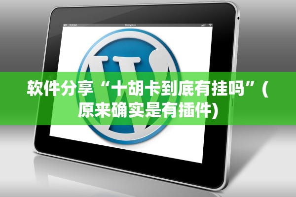 软件分享“十胡卡到底有挂吗	”(原来确实是有插件)