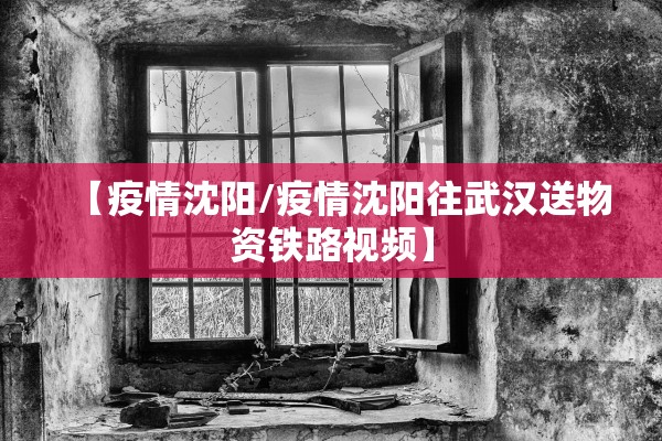 【疫情沈阳/疫情沈阳往武汉送物资铁路视频】