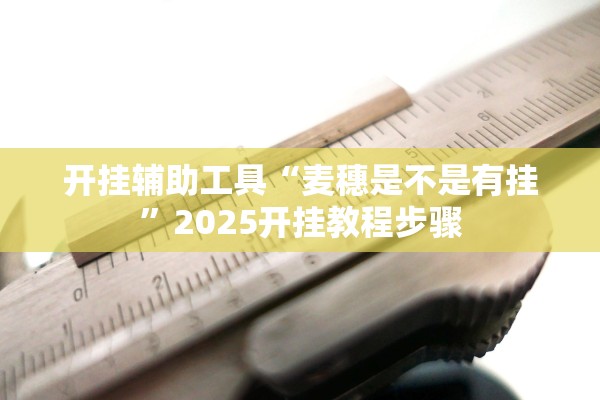 开挂辅助工具“麦穗是不是有挂	”2025开挂教程步骤