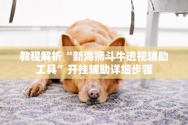教程解析“新海狮斗牛透视辅助工具”开挂辅助详细步骤